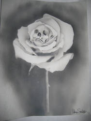 Skull Rose