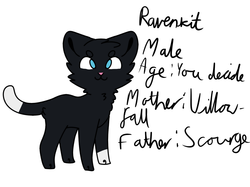 Raven Kit Ravenkit by XxRaven-FindersxX on DeviantArt