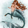 Centaur mermaid redraw