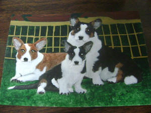 dogs aceo