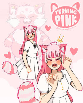 Pinksona Humanizada por Mixi Moshini