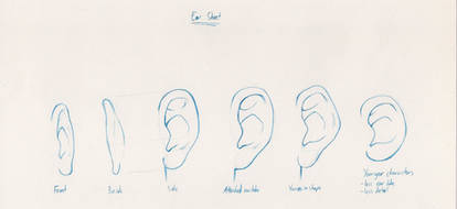 Ear Study