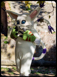 Gatomon Tailmon cosplay