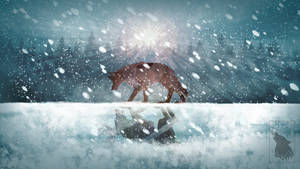 In My Dreams We Are Always Together By Xhyperwolfx On Deviantart In My Dreams We Are Always Together By Xhyperwolfx On Deviantart