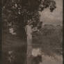 My first cyanotype print