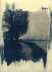 Bleak. Cyanotype print