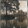 Pond I. Cyanotype