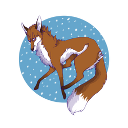 Vulpes vulpes