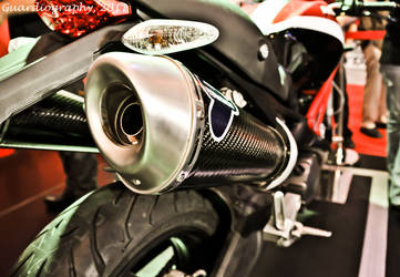 Ducati Monster Muffler