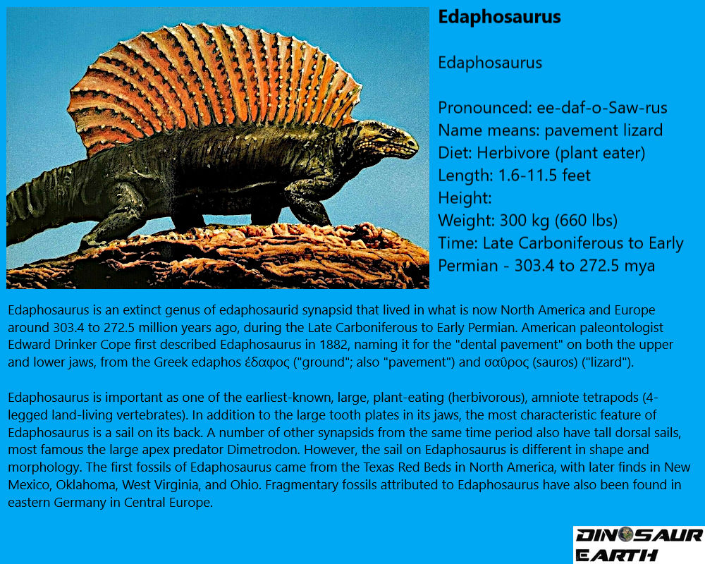 Edaphosaur DE profile Edaphosaurus by Johnnysaurus93 on DeviantArt