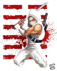 Storm Shadow