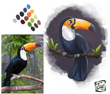 Study01 Toucan