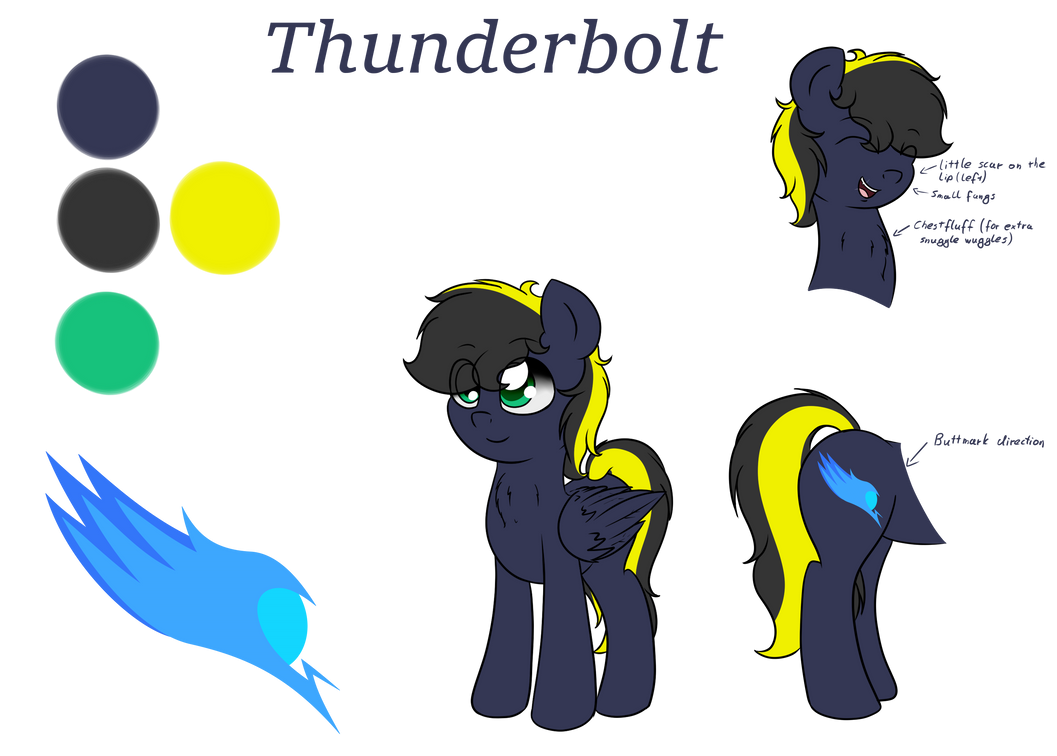 Thunderbolt Rune Thunderbolt Reference Sheet by Fluttair on DeviantArt