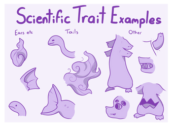 Minchi Traits - Scientific