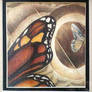 Butterfly 2003