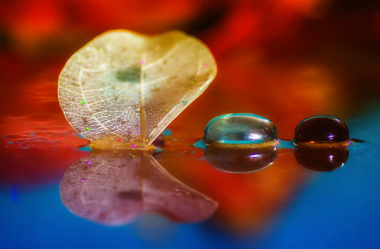 Reflection of leaf and glass pebbles