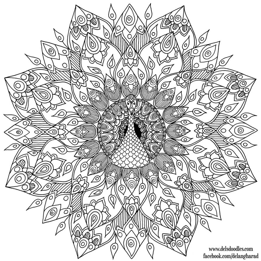 Hand-Drawn Peacock Mandala Colouring Page by WelshPixie on DeviantArt