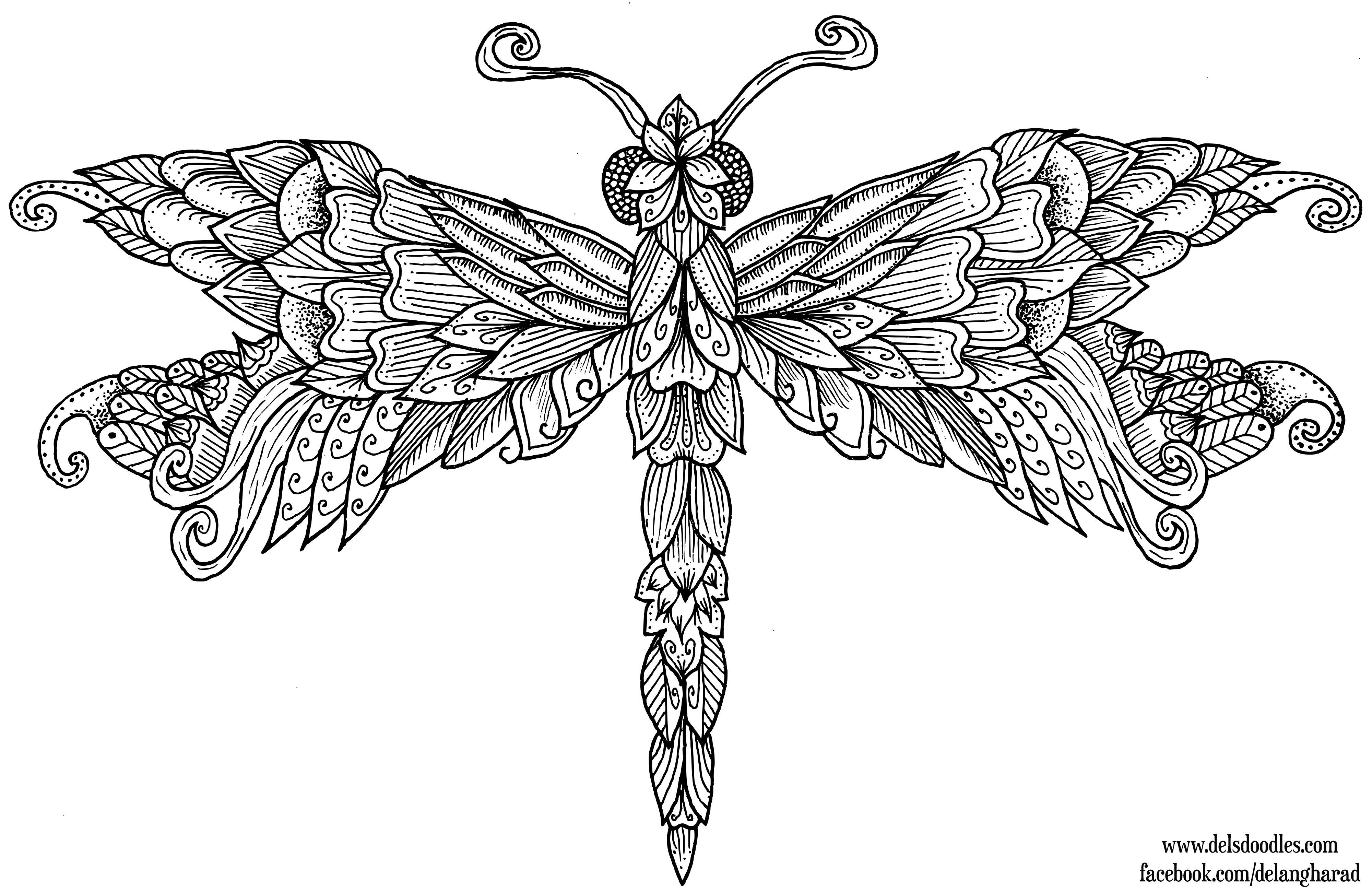 Dragonfly Colouring Page