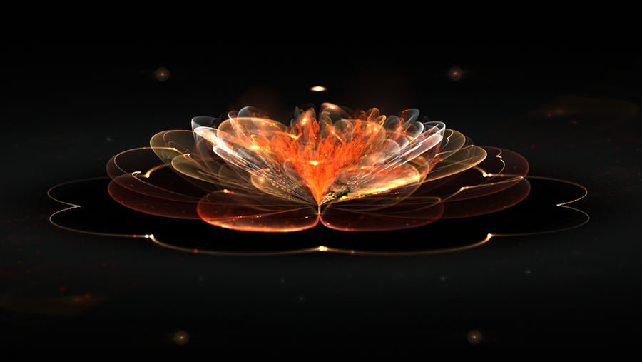 Fire Lotus by WelshPixie on DeviantArt