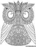 Owl Colouring Page