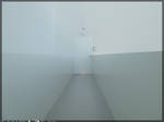 White by NUMB3RTHIRT33N