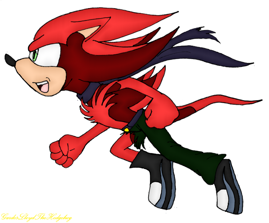 Gades Lloyd the Hedgehog