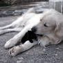 His little one 2