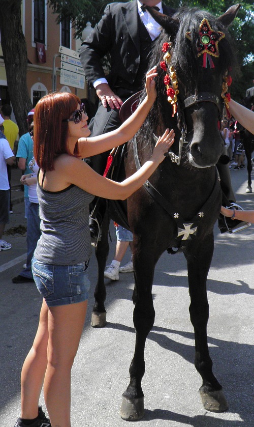 Sant Joan 2011 Rose2