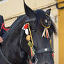 Sant Joan 2013 horse