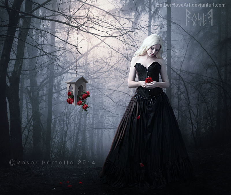 Roses for Her by EmberRoseArt