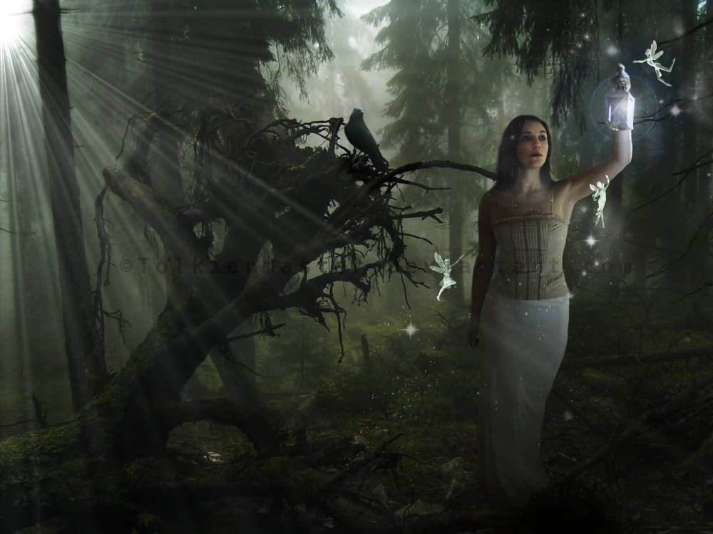 The faerie seeker