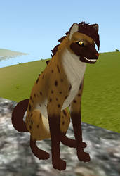 Ashanti the Hyena