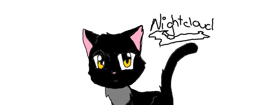 nightcloud by sunleaf3 on DeviantArt