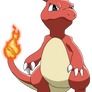 05  -  Charmeleon