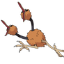 84  -  Doduo