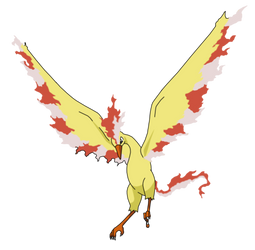 146  -  Moltres