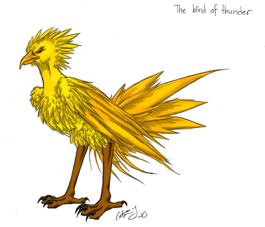 the Bird of Thunder