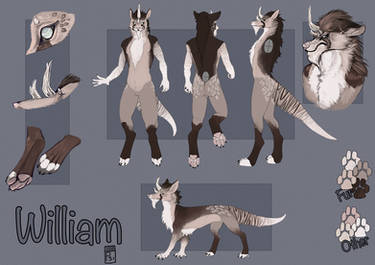 Refsheet for WhiteFoxy94