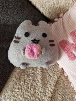 I made a pusheen plush