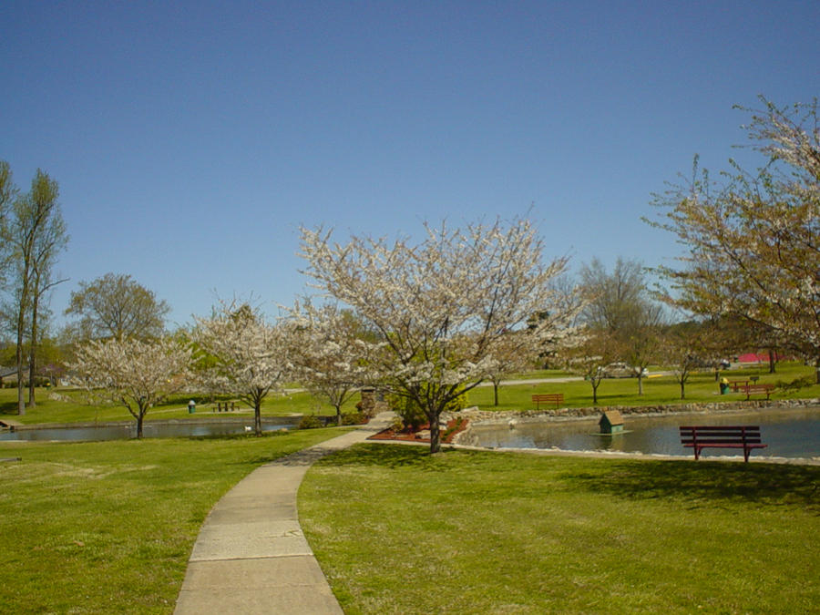 Last Spring by pbellows on DeviantArt