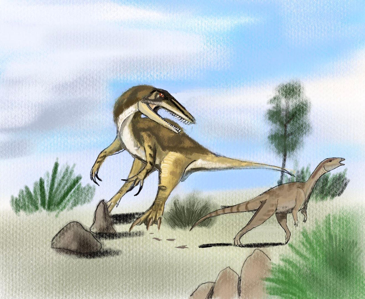 Maip-the largest megaraptoran by Unenlagia90 on DeviantArt
