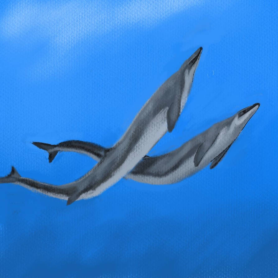 Basilosaurus Deviantart Basilosaurus by Unenlagia90 on DeviantArt
