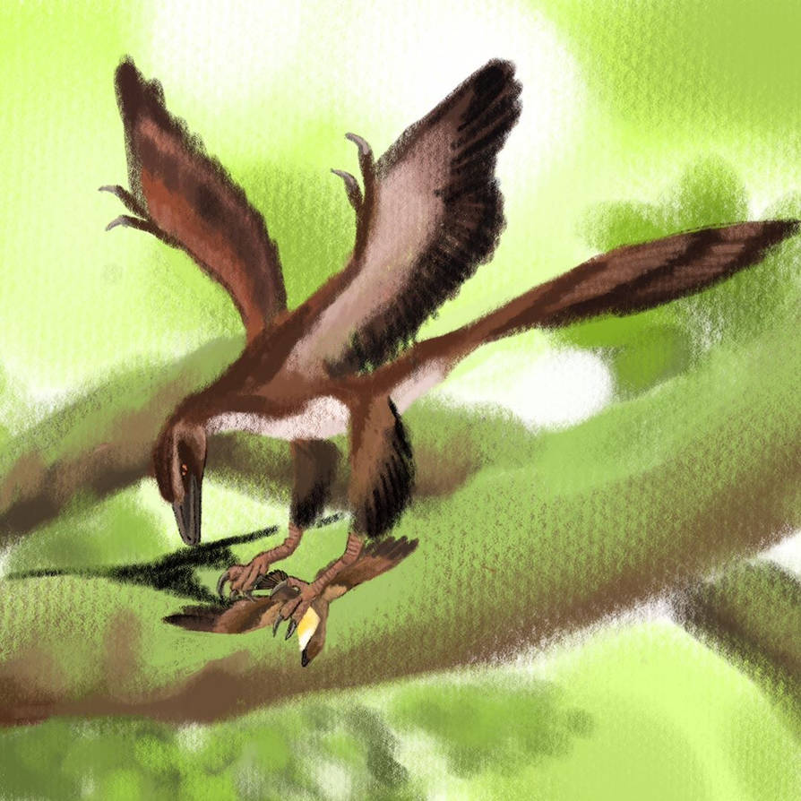 Sinornithosaurus Sinornithosaurus millenii by Unenlagia90 on DeviantArt