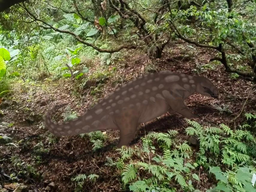 Edmontonia longiceps by Unenlagia90 on DeviantArt