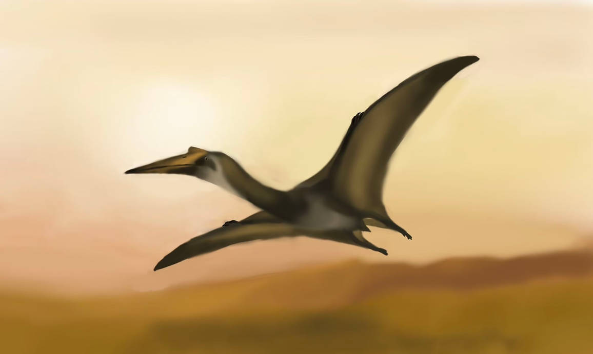 Quetzalcoatlus Northropi Flying By Unenlagia90 On DeviantArt quetzalcoatlus-northropi-flying-by-unenlagia90-on-deviantart