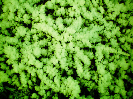 Green snow crystals
