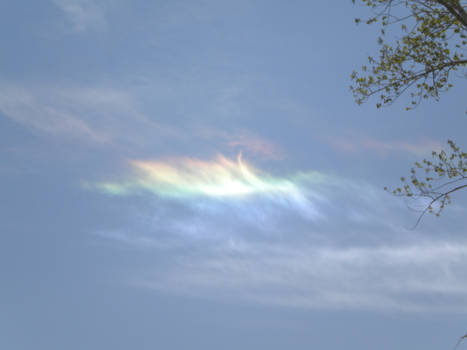 sundog 1