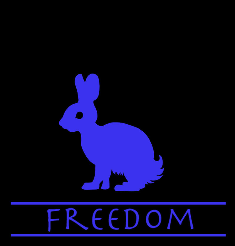 Freedom by adam-ant2 on DeviantArt