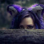 A Purple Fox Appears