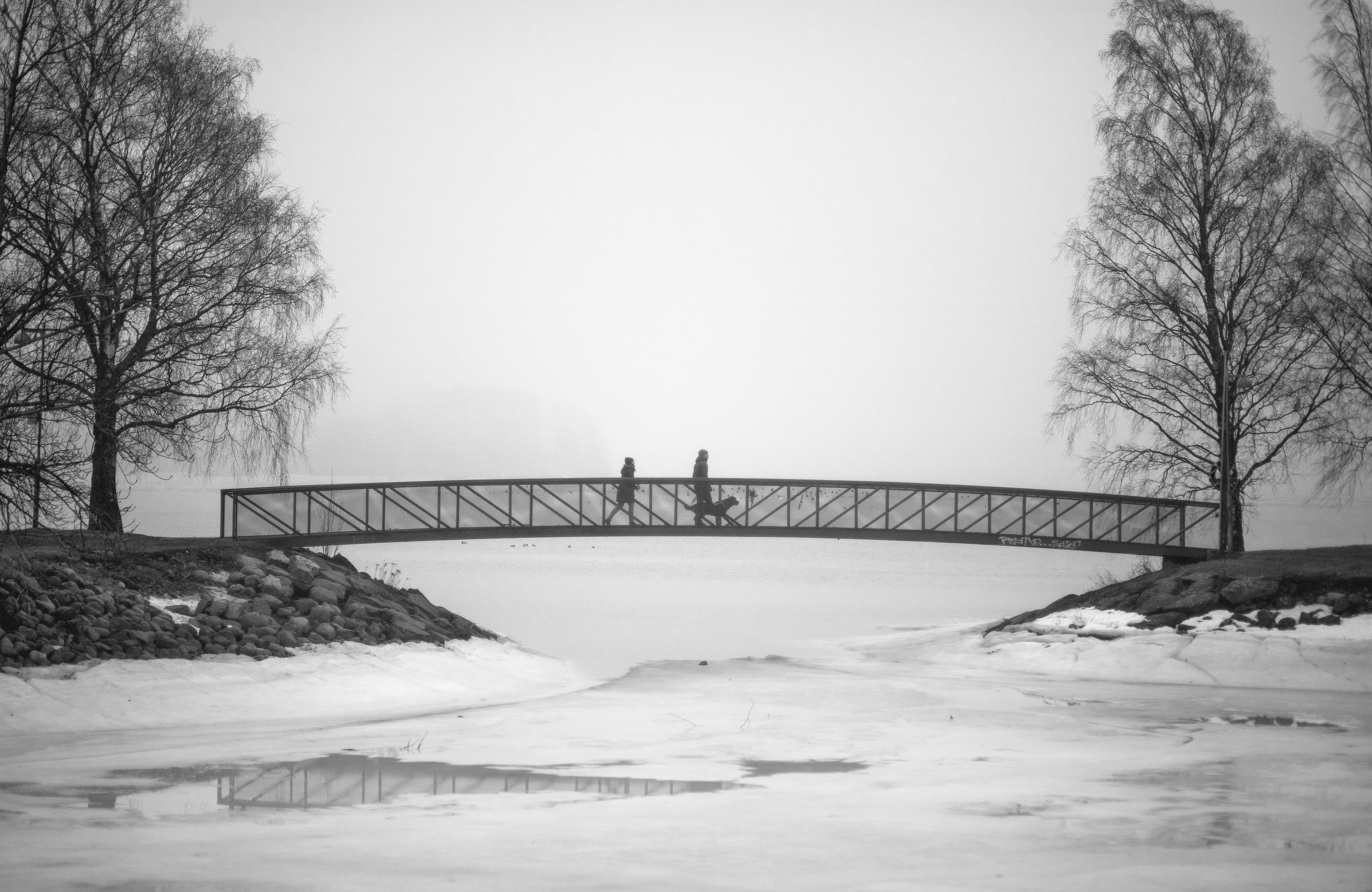 Foggy Walk On Bridge